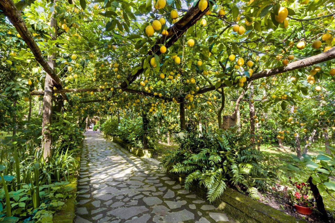 Villa Maresca B&B Пиано ди Соренто Екстериор снимка