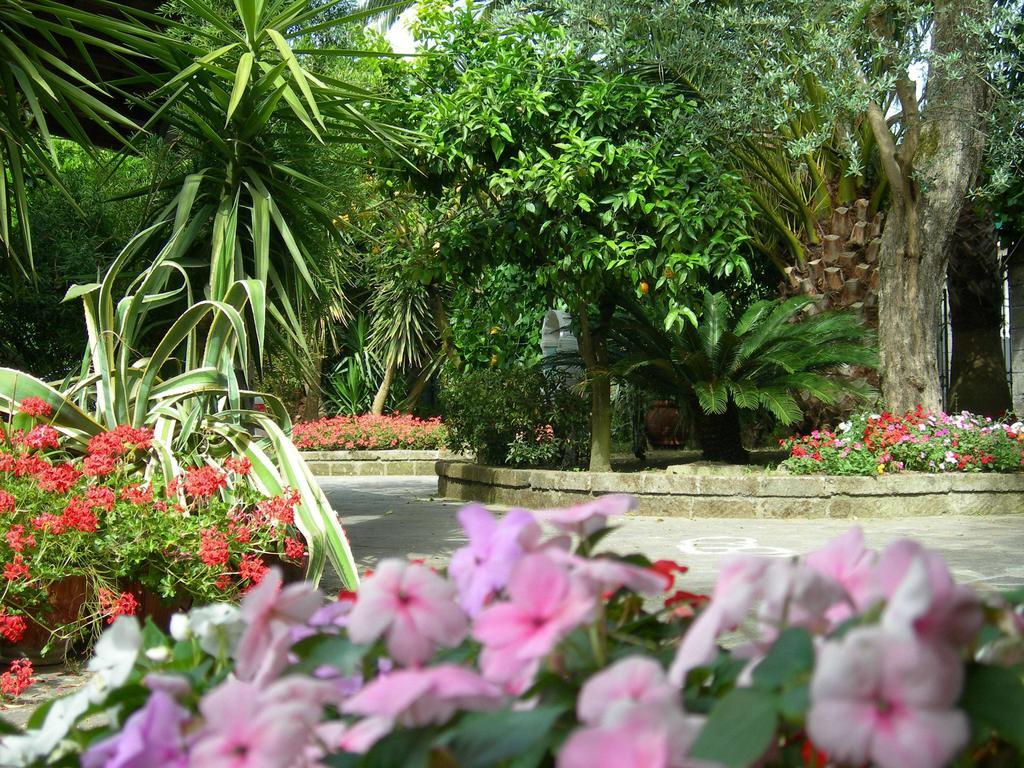 Villa Maresca B&B Пиано ди Соренто Екстериор снимка
